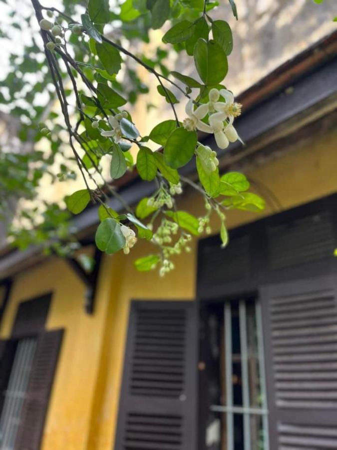 Ciel Homestay Hue Exterior foto